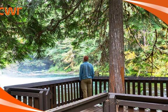 Popular Ways To Come To Canada From The UAE