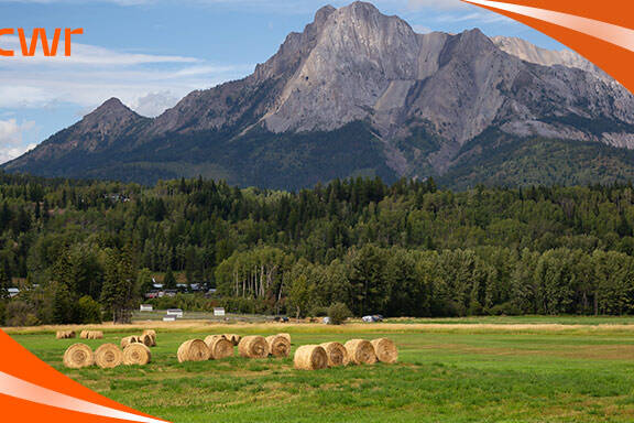 How Many Agricultural Workers In Canada Are Required?