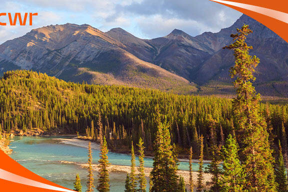 All You Need To Know About Moving To Alberta