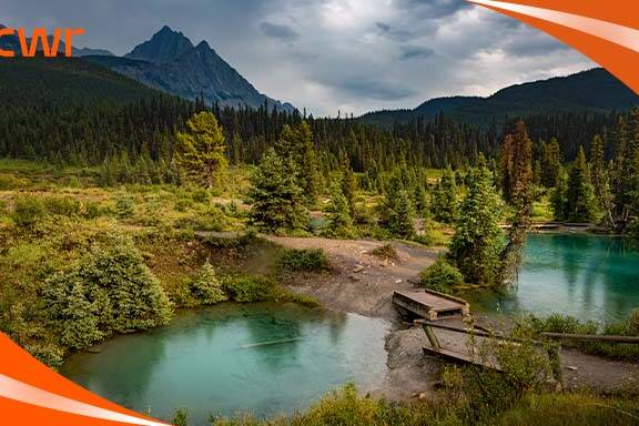 Are You Eligible For Express Entry?