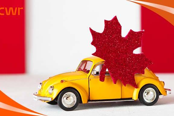 Canadian Driving Laws and Road Safety Tips