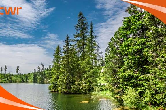 Provincial Nominations Issued by Ontario, BC, and Manitoba