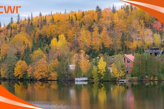 Comparing ITA Issuance in Express Entry - 2024 vs. 2023 Analysis