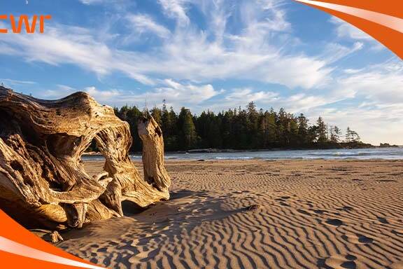 Canada's Best Cherry Blossom Viewing Locations