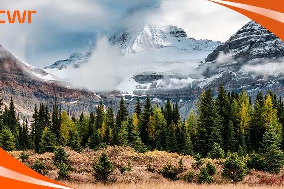 1613 PNP applicants invited in the latest Express Entry draw