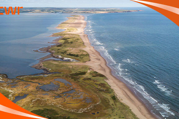 New Brunswick Critical Worker Pilot - Key Hiring Employers & Jobs