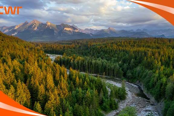 Understanding Comprehensive Ranking System