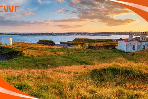 Express Entry Pool Overview for November 2024