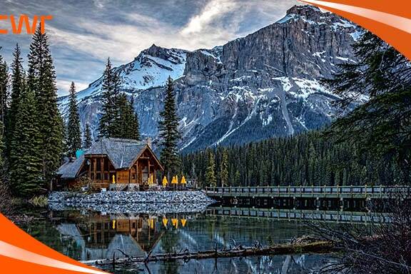 Work Options for Expiring PGWP Holders and Recent Graduates