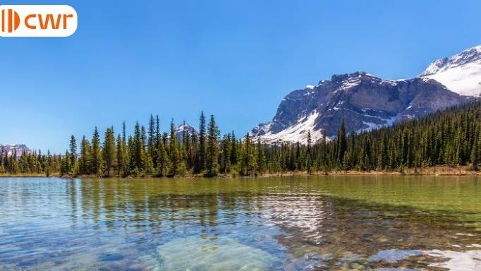 Ontario sends out ITAs in the first immigration draws of 2026