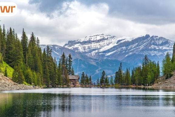 NWT Nominee Program sets 2026 nomination cap