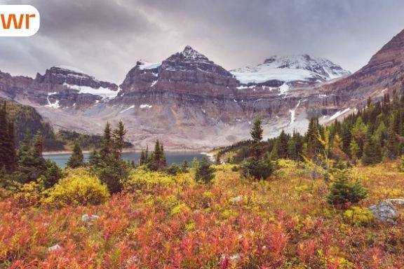 PEI focuses on international grads in a new PNP draw