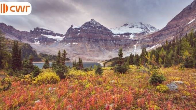 PEI focuses on international grads in a new PNP draw