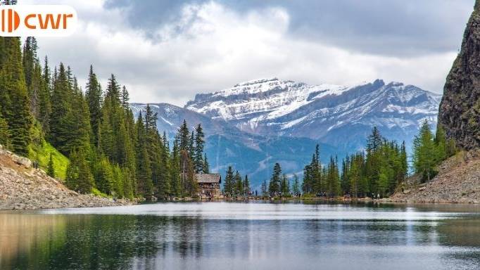 SINP opens the second intake window for capped sectors