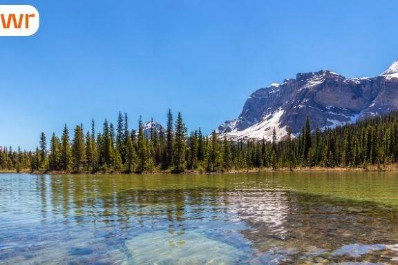 Express Entry draw invites provincial nominee candidates