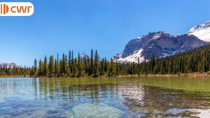 Express Entry draw invites provincial nominee candidates