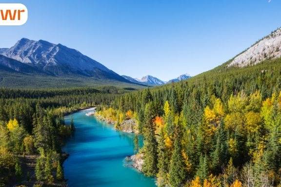 Alberta updates worker EOI rules and refund policy