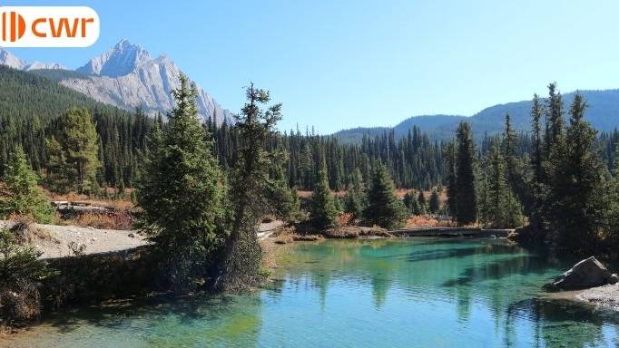 Canada invites physicians through a new Express Entry draw